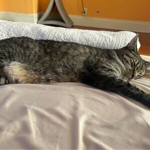 Meet your Posher, Fatima